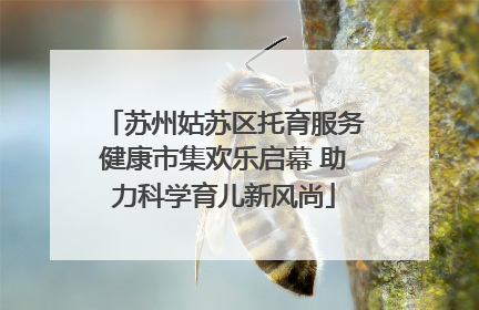 苏州姑苏区托育服务健康市集欢乐启幕 助力科学育儿新风尚