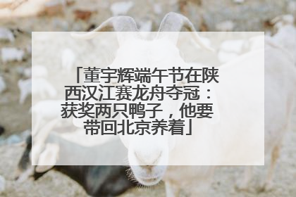董宇辉端午节在陕西汉江赛龙舟夺冠：获奖两只鸭子，他要带回北京养着