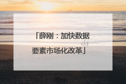 薛刚：加快数据要素市场化改革
