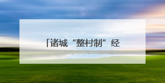 诸城“整村制”经营铺就富民强村路，合作社迎来大丰收