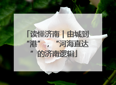 读懂济南｜由城到“港”，“河海直达”的济南逻辑