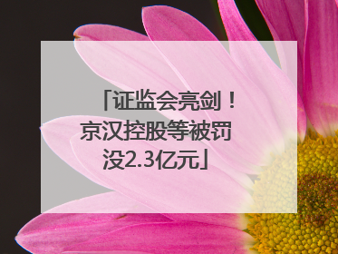 证监会亮剑！京汉控股等被罚没2.3亿元