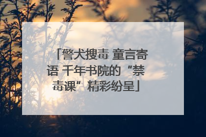 警犬搜毒 童言寄语 千年书院的“禁毒课”精彩纷呈