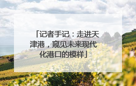 记者手记：走进天津港，窥见未来现代化港口的模样
