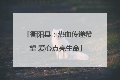 衡阳县：热血传递希望 爱心点亮生命