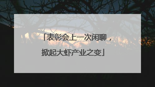 表彰会上一次闲聊，掀起大虾产业之变