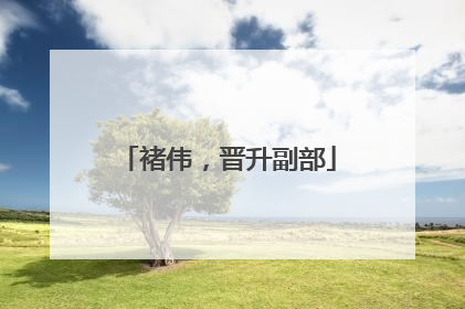 褚伟，晋升副部