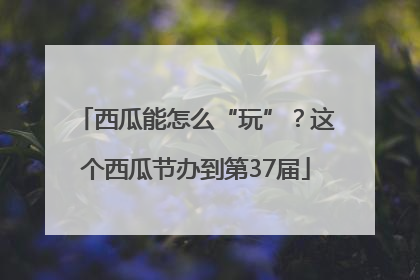 西瓜能怎么“玩”？这个西瓜节办到第37届