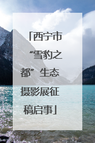 西宁市“雪豹之都”生态摄影展征稿启事