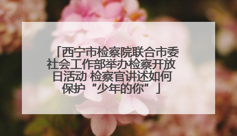 西宁市检察院联合市委社会工作部举办检察开放日活动 检察官讲述如何保护“少年的你”