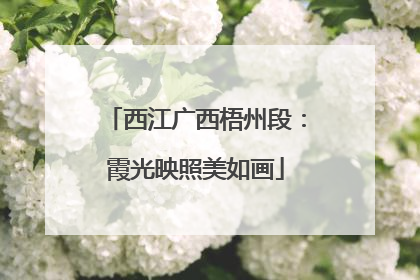 西江广西梧州段：霞光映照美如画