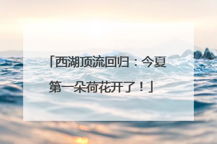 西湖顶流回归：今夏第一朵荷花开了！