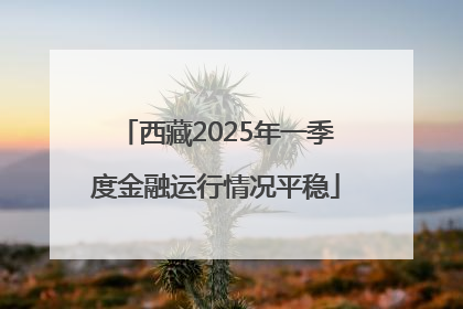 西藏2025年一季度金融运行情况平稳