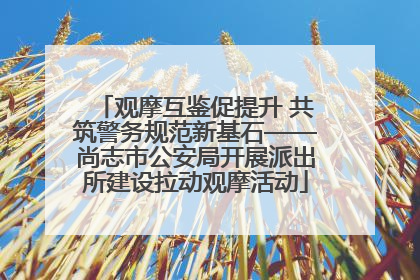 观摩互鉴促提升 共筑警务规范新基石——尚志市公安局开展派出所建设拉动观摩活动