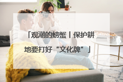观潮的螃蟹丨保护耕地要打好“文化牌”