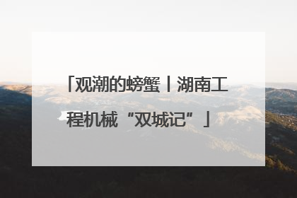 观潮的螃蟹丨湖南工程机械“双城记”