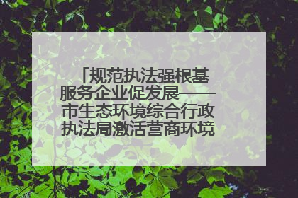 规范执法强根基 服务企业促发展——市生态环境综合行政执法局激活营商环境“绿色动能”