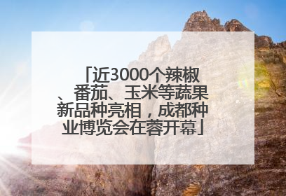 近3000个辣椒、番茄、玉米等蔬果新品种亮相，成都种业博览会在蓉开幕