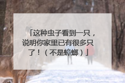 这种虫子看到一只，说明你家里已有很多只了！（不是蟑螂）