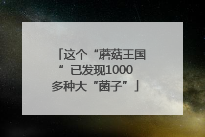 这个“蘑菇王国”已发现1000多种大“菌子”