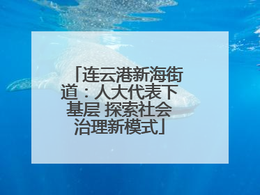 连云港新海街道：人大代表下基层 探索社会治理新模式