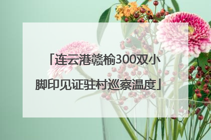 连云港赣榆300双小脚印见证驻村巡察温度