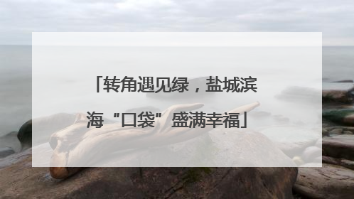 转角遇见绿，盐城滨海“口袋”盛满幸福