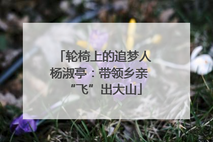 轮椅上的追梦人杨淑亭：带领乡亲“飞”出大山
