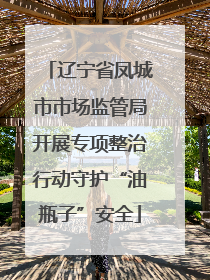 辽宁省凤城市市场监管局开展专项整治行动守护“油瓶子”安全