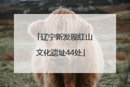 辽宁新发现红山文化遗址44处