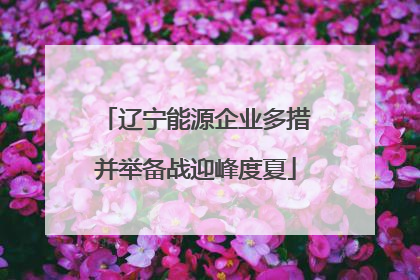 辽宁能源企业多措并举备战迎峰度夏