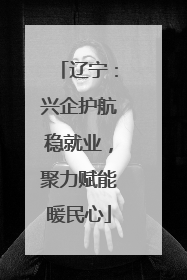 辽宁：兴企护航稳就业，聚力赋能暖民心