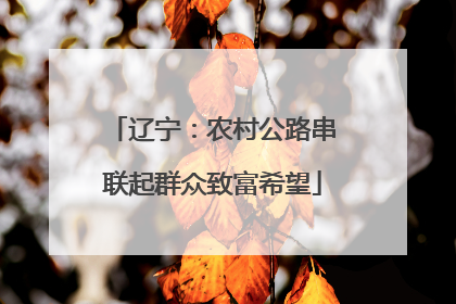 辽宁：农村公路串联起群众致富希望