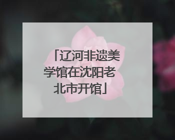 辽河非遗美学馆在沈阳老北市开馆