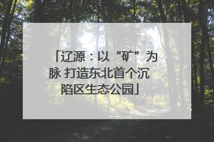 辽源：以“矿”为脉 打造东北首个沉陷区生态公园