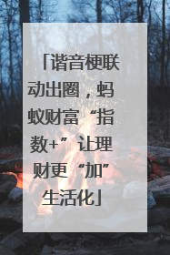 谐音梗联动出圈，蚂蚁财富“指数+”让理财更“加”生活化
