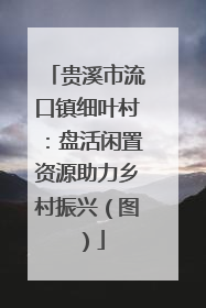 贵溪市流口镇细叶村：盘活闲置资源助力乡村振兴（图）