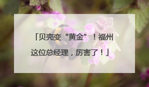 贝壳变“黄金”！福州这位总经理，厉害了！