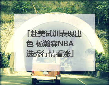 赴美试训表现出色 杨瀚森NBA选秀行情看涨