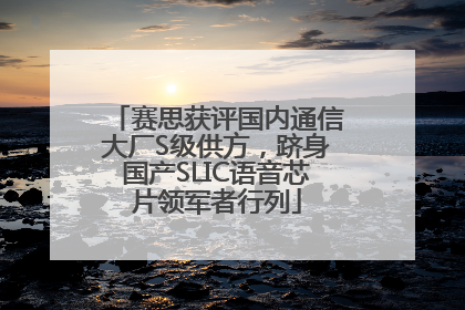 赛思获评国内通信大厂S级供方，跻身国产SLIC语音芯片领军者行列