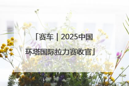 赛车｜2025中国环塔国际拉力赛收官