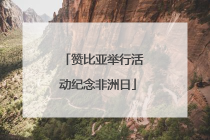 赞比亚举行活动纪念非洲日