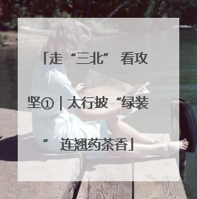 走“三北” 看攻坚①｜太行披“绿装” 连翘药茶香