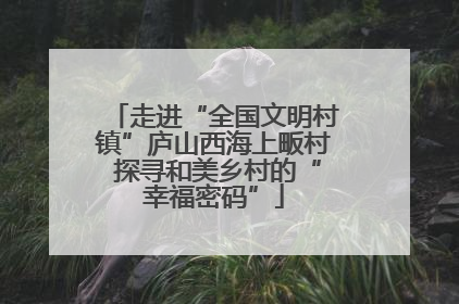 走进“全国文明村镇”庐山西海上畈村 探寻和美乡村的“幸福密码”