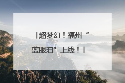 超梦幻！福州“蓝眼泪”上线！
