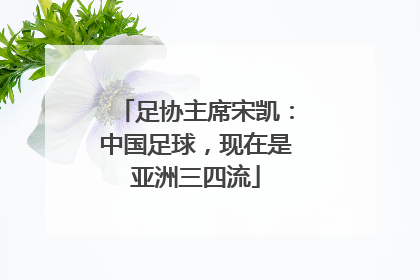 足协主席宋凯：中国足球，现在是亚洲三四流