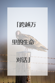 跨越万里的生命对话