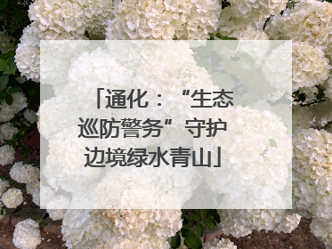 通化：“生态巡防警务”守护边境绿水青山