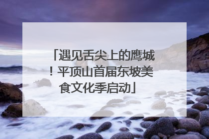 遇见舌尖上的鹰城！平顶山首届东坡美食文化季启动