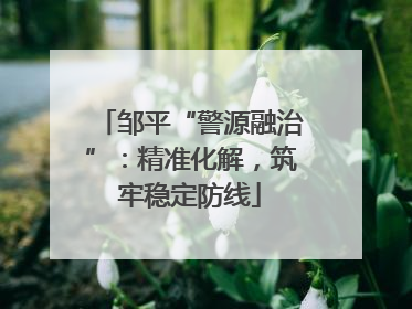 邹平“警源融治”：精准化解，筑牢稳定防线